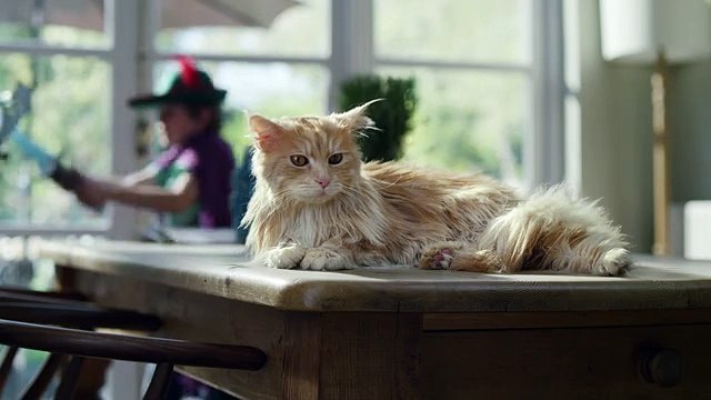 O2 - opérateur téléphonique, Be more dog - juillet 2013