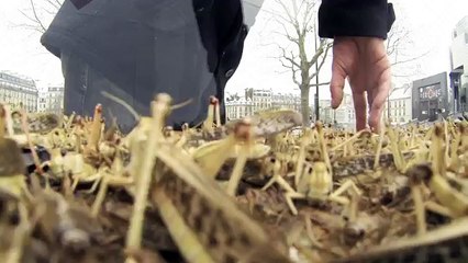 NRJ Mobile - opérateur téléphonique, "Jusqu'où iriez-vous pour un smartphone ?" - avril 2013