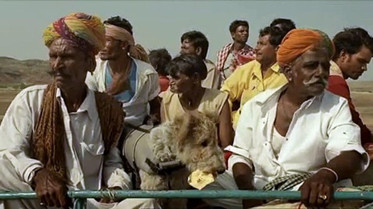 New Zealand Lotto - loto, "Lucky dog" - 2011