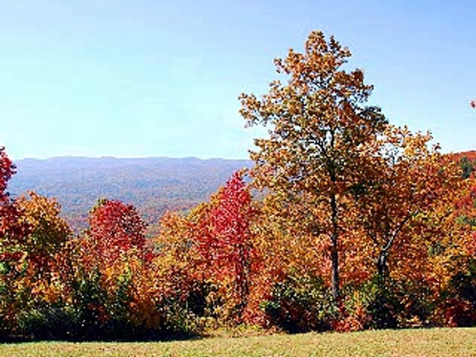 Seasonal Affective Disorder Symptoms & Light Therapy