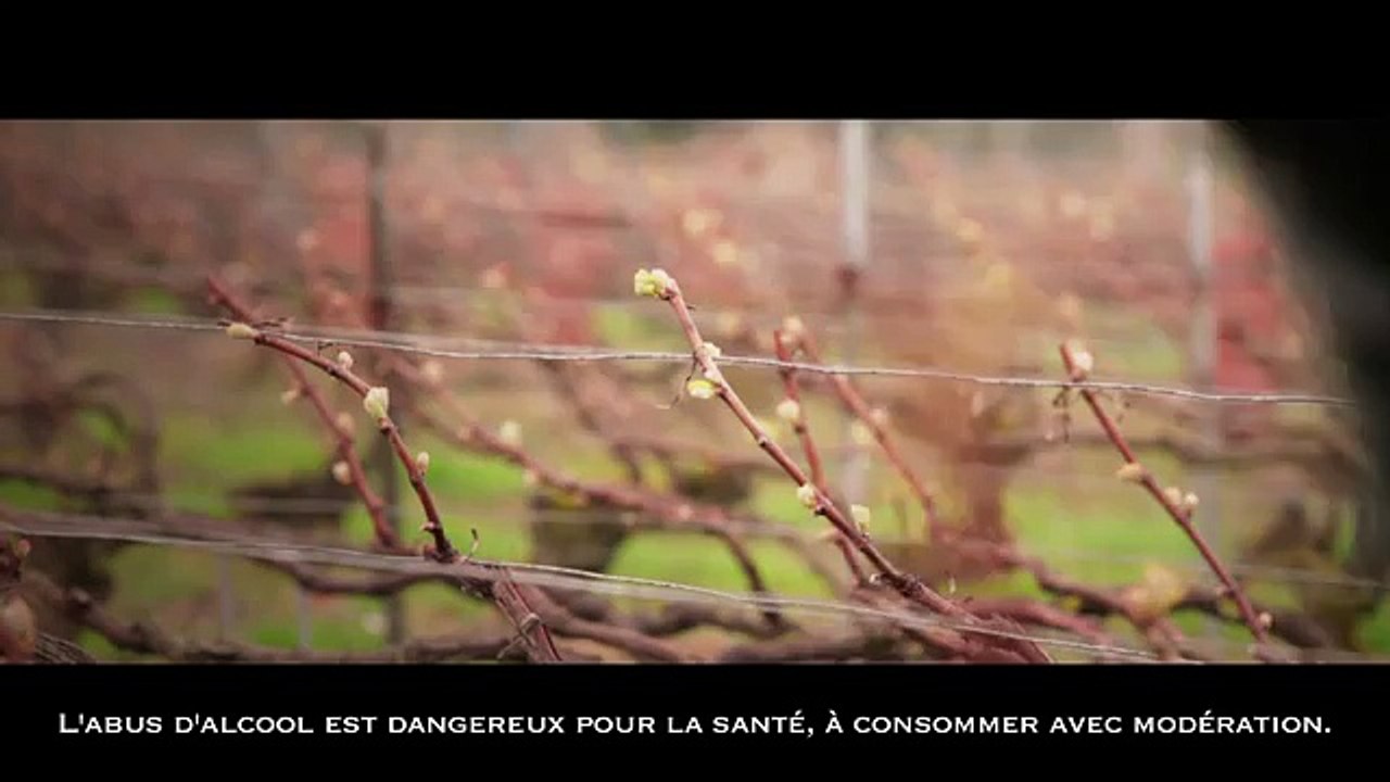 LVMH - groupe de luxe, "Journées Particulières LVMH" - juin 2013 - Dom Pérignon