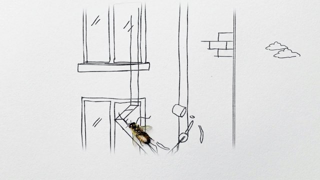 Mayor of London (Municipalité de Londres) - protection des abeilles londoniennes, Capital bees - juin 2011 - City limits