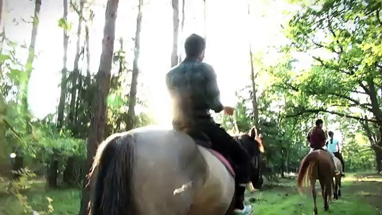 Mini (BMW), Vice - voiture - août 2011 - "All the wrong places"