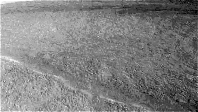 News Pepper - agence de communication, Voeux 2014 - janvier 2014