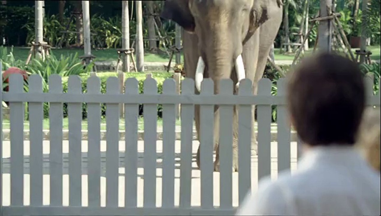 Okay - essuie-tout - août 2009 - "L'ami de la famille"