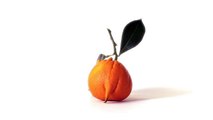 Marcel pour Intermarché - supermarchés, «Les Fruits et légumes moches reviennent» - octobre 2014 - clémentine introvertie