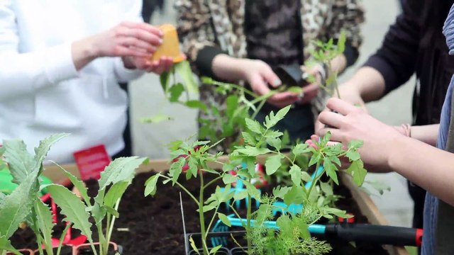 Leroy Merlin - décoration et bricolage, Centre Pompidou - avril 2013