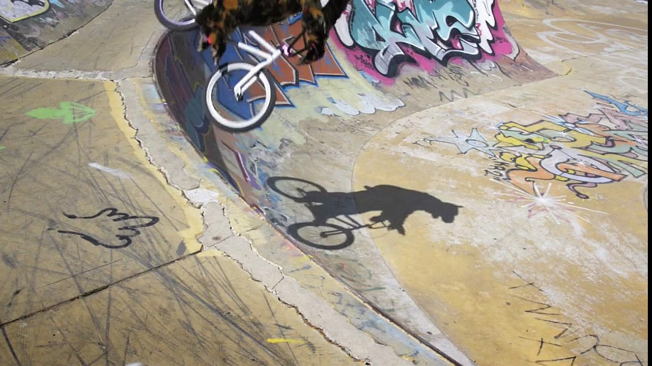 Nikon - appareil photo Nikon Coolpix AW100, "Camo Bear" - novembre 2011