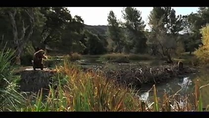 Monster - site internet de recherche d'emploi - février 2010 - "Fiddling Beaver" (Castor violoniste)