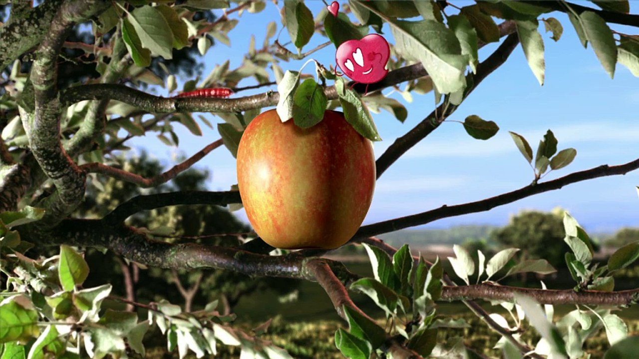 Pink Lady - pommes, "Tellement plus qu'une pomme" - octobre 2011 - "Verger", 20s