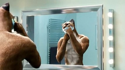 Orangina Schweppes - soda Orangina - juin 2010 - "Parodies", "Puma et après-rasage"