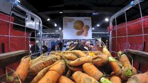 Marcel pour Intermarché - supermarché, «Les fruits et légumes moches» - mars 2014 - case study