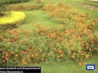 MET Dept forecasts rain in various cities