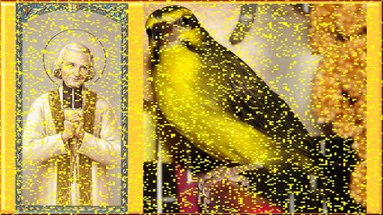L'oiseau de Paradis (sur le canon de Pachelbel)