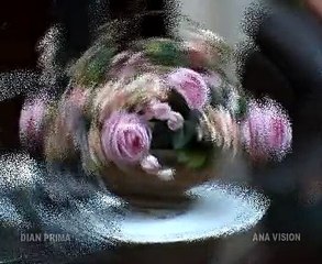 SALAM RINDU diana sastra @ lagu tarling