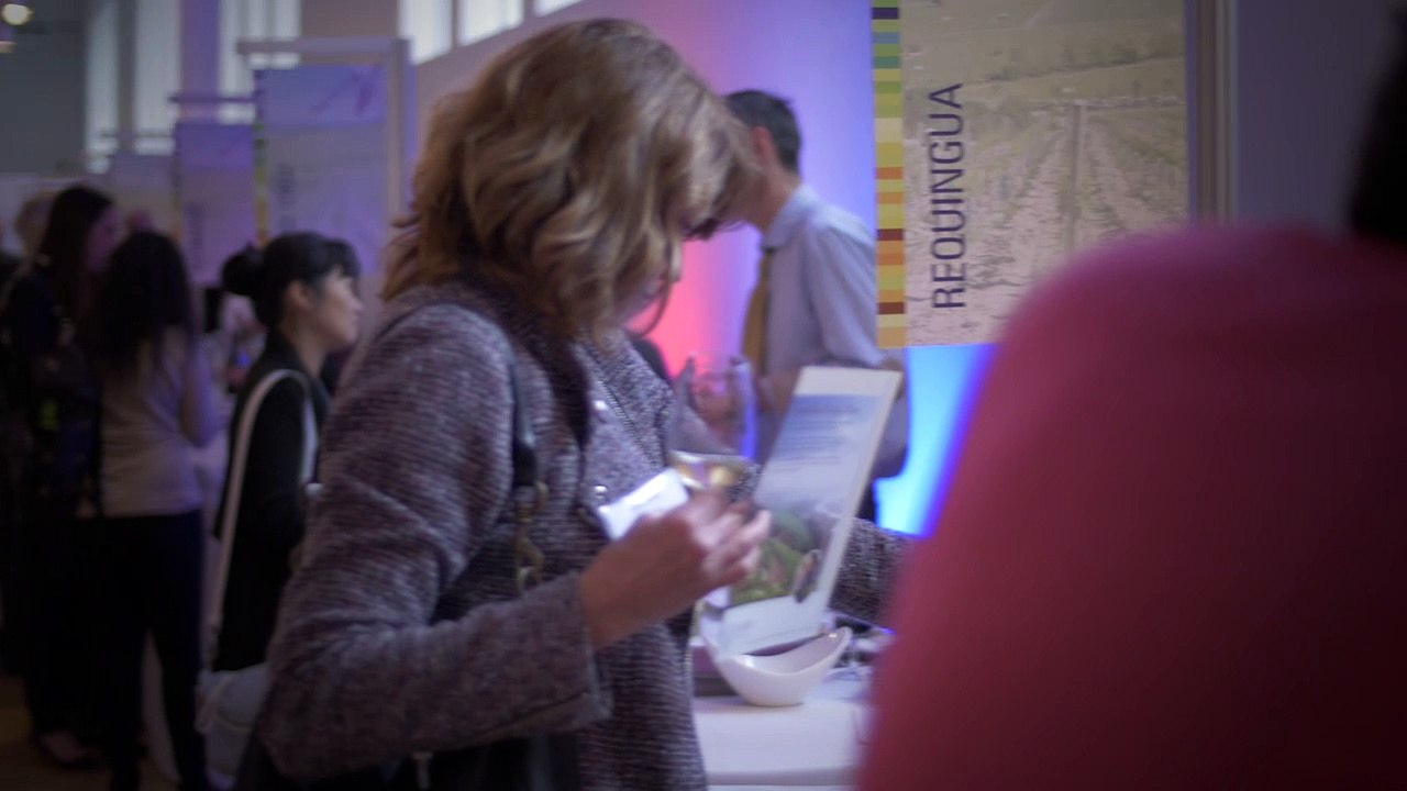 Chilean Wine Festival - Toronto - 2014