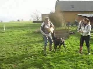 Vidéo mordant