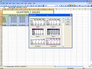 Ms Excel 2003 Training- Autoformat (Part 35)