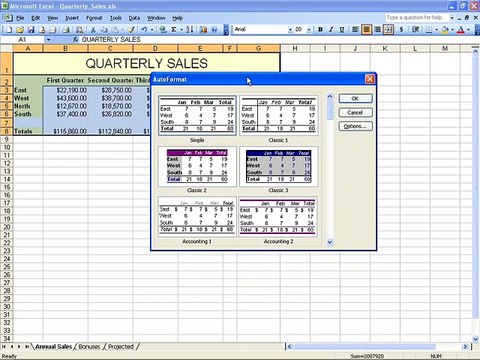 Ms Excel 2003 Training- Autoformat (Part 35)