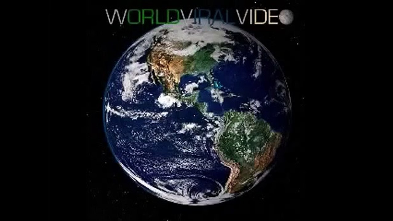 Funny Videos _ Cat talking like human hahahah