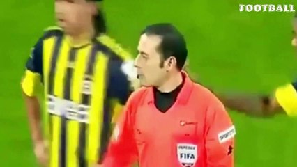 Top Funny Moments  Comedy Animals In Football Match invades pitch 2015
