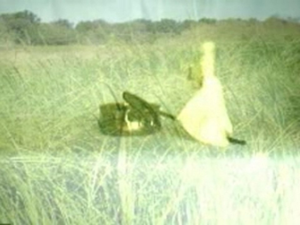 Yuki et ses amis- ep02 Choucroute party