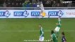 Zlatan Ibrahimovic Goal St Etienne 0 - 1 PSG Coupe de la Ligue 13-1-2015