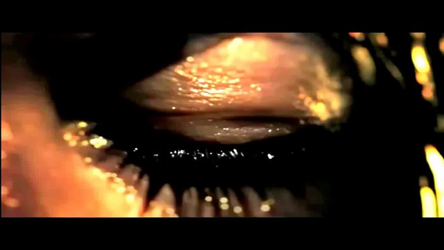 FALSE FLAG- POLIZISTENMORD_ GELÖSCHTE VIDEOS- CHARLIE HEBDO