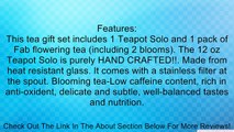Tea Beyond Flowering Tea Solo Giftset GFS2019 Tea for One Teapot Solo and 1 Pack of Flowering Tea Review