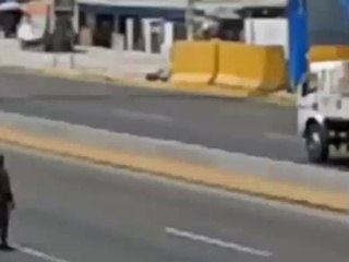 Un policía para el tráfico en una autovía para salvar a un perro