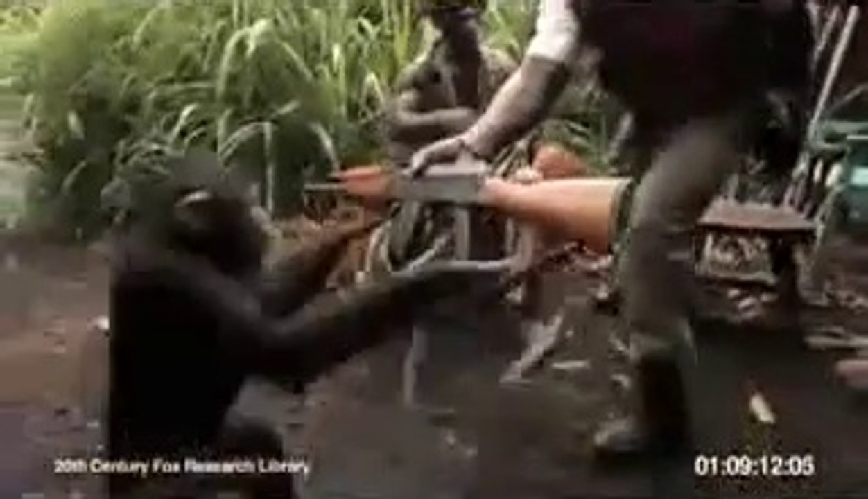 O Macaco e a Metralhadora.