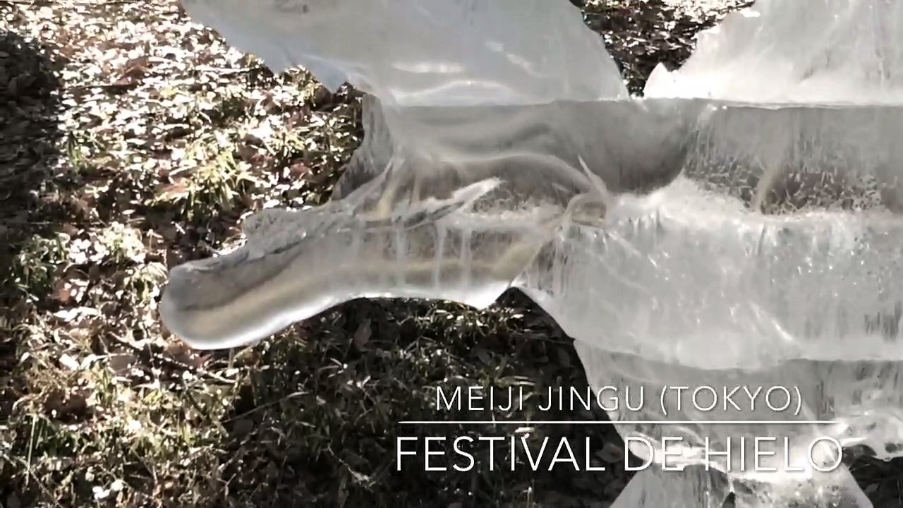Festival de hielo