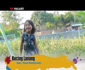 KUCING LANANG ayip rafansyah @ lagu tarling Prod GALAXY