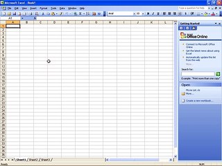 Ms Excel 2003 Training- Import from Word (Part 44)