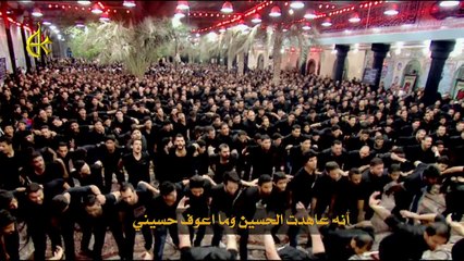 واغريباه - الحاج باسم الكربلائي