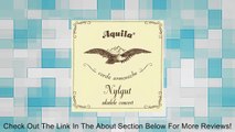 Aquila New Nylgut� Concert Ukulele Strings - Regular GCEA (High G) tuning Full Set 7U Review