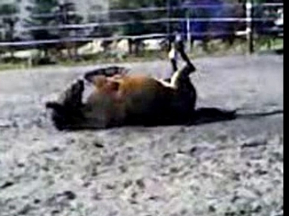 Vidéo 0009