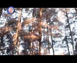 UNTUK APA BERTAHAN rudy setro @ lagu dangdut pantura