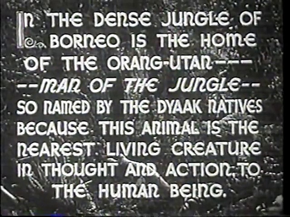 Beast Of Borneo (1934) - full movie