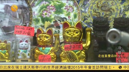 20150113 冷暖人生 走进重庆森林