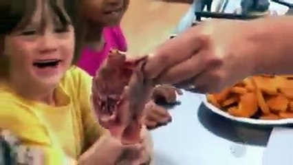 Chicken McNuggets – ist was?