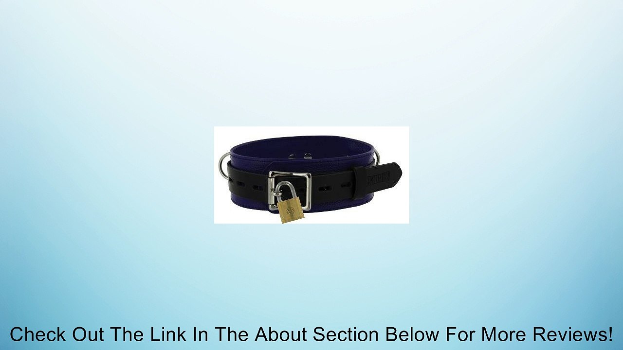 Strict Leather Deluxe Locking Collar - Blue and Black Review