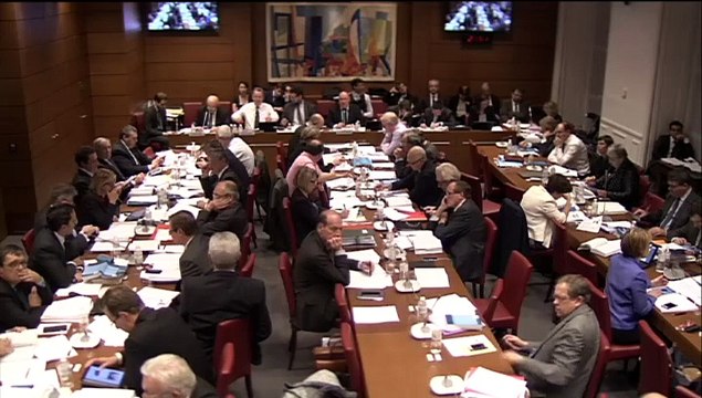 Commission spéciale croissance et activité (suite) - Mardi 13 Janvier 2015