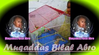 Madani Madeny Waly (Muqaddas Bilal Abro) By: Zain Zahir Abro