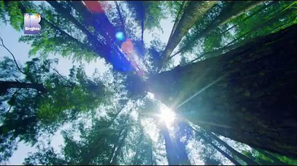 Brighto Ka Pakistan, TVC 2015