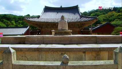 Travel Story S2Ep20