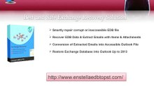 Enstella Exchange Recovery