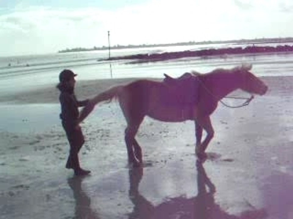 plage naiade