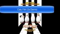 Pingwiny z Madagaskaru Dubbing Polski Za Darmo