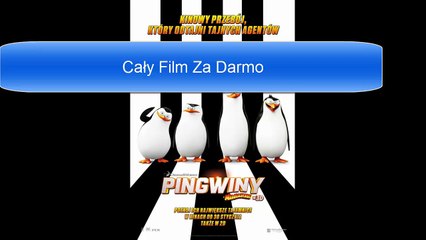 Pingwiny z Madagaskaru Dubbing Polski Za Darmo